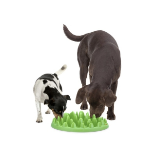 Northmate ® Green Hunde Antischling-Napf