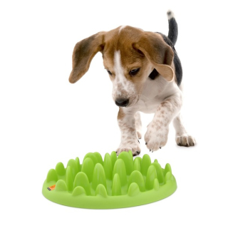 Northmate ® Green Mini Hunde Antischling-Napf