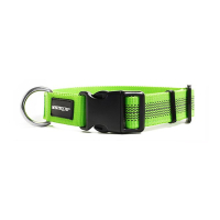 Mystique Hundehalsband gummiert 25mm breit, hellgrün...