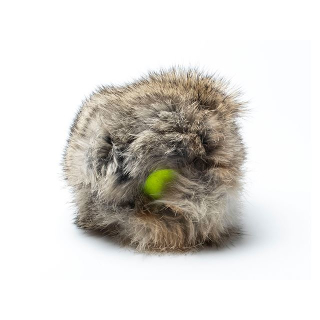 Kaninchenfell Cover mit Tennisball